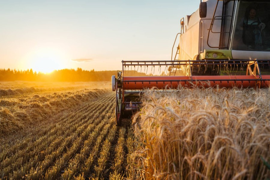 Food & Agri-industry
